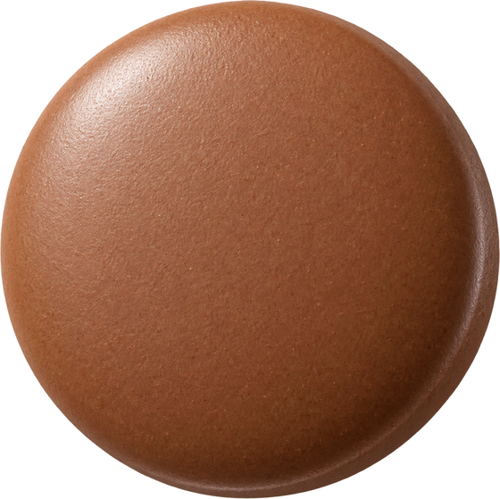 Illustration of a brown round tablet